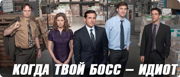 The Office    -  5